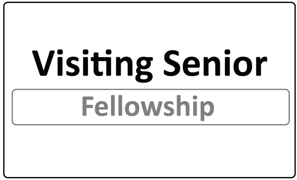 Visiting Senior Fellowship Program 2022
