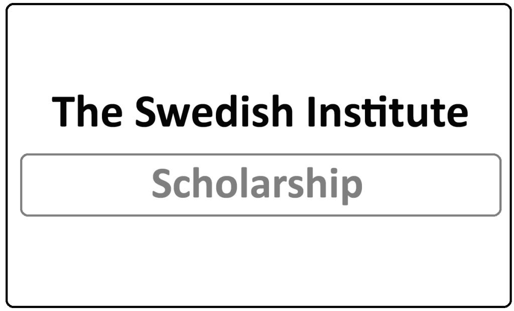 The Swedish Institute leadership 2024
