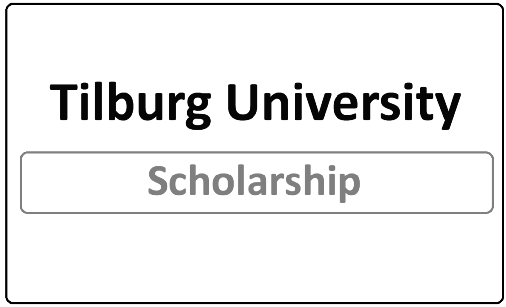 Tilburg University UG Scholarship 2024