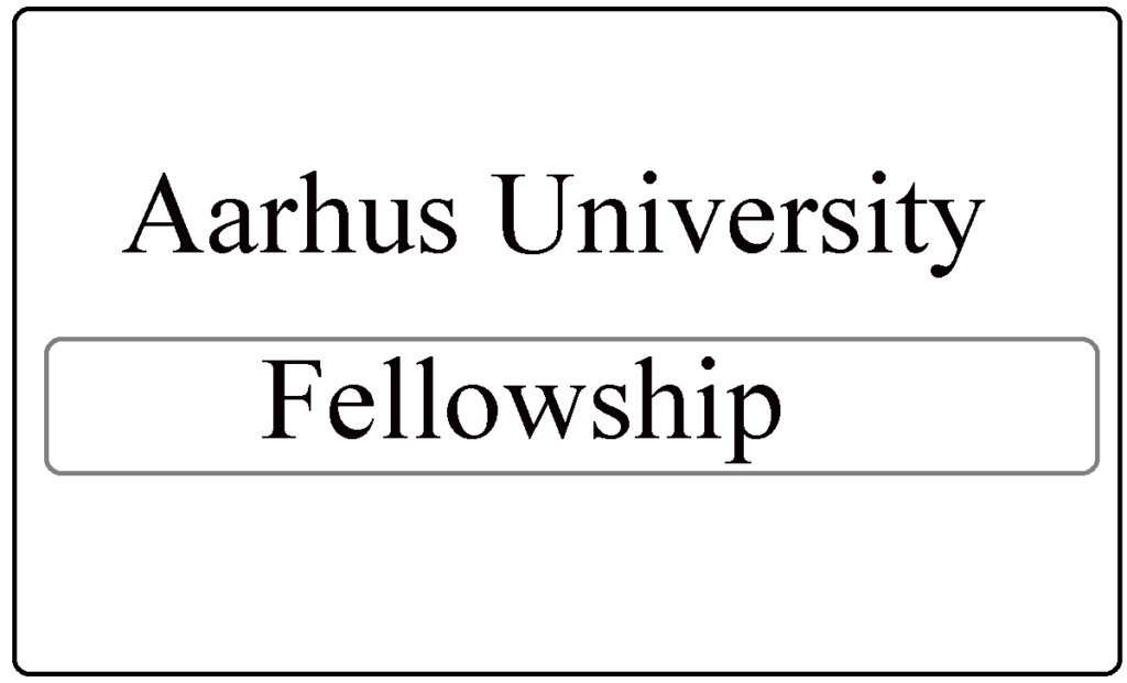 Aarhus University PhD Fellowships Program 2024