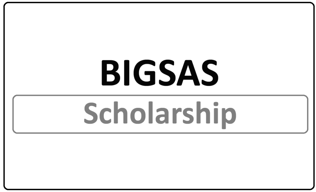BIGSAS Sandwich Scholarship 2024