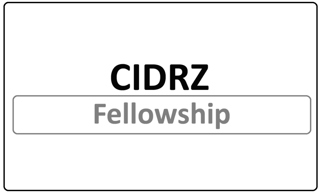 CIDRZ Global Public Health Fellowship 2024