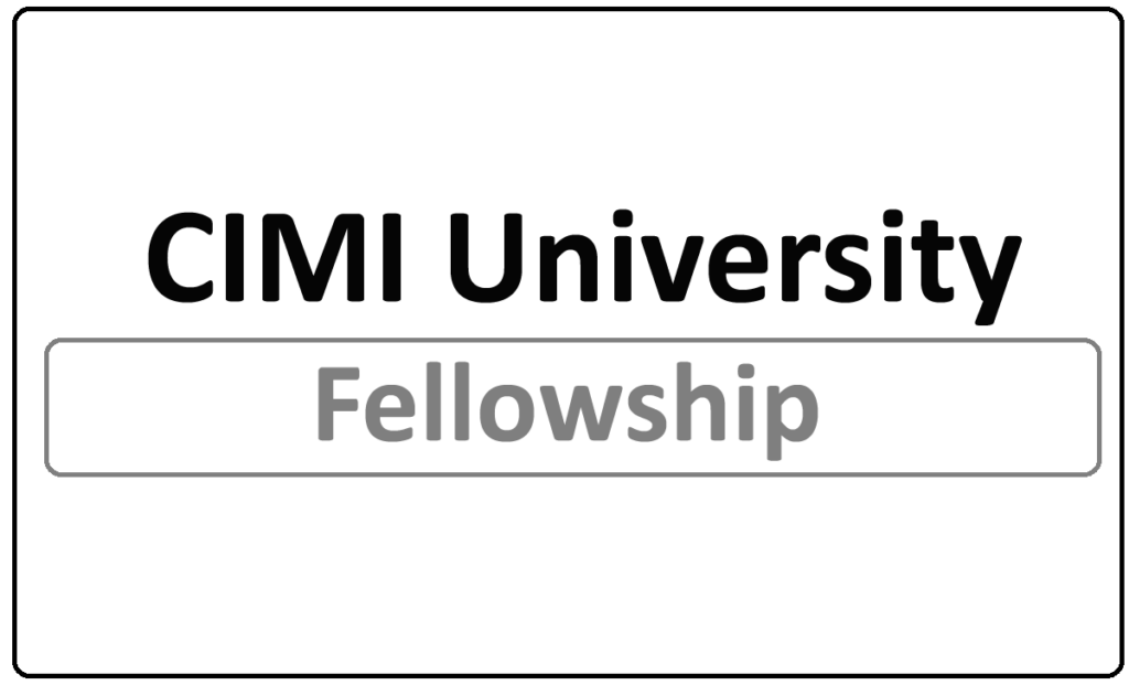CIMI University of Toulouse Masters Fellowships 2024