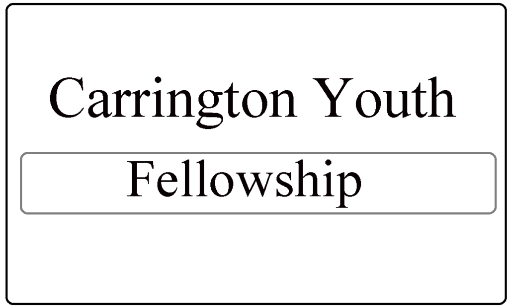 Carrington Youth Fellowship Initiative (CYFI) 2024