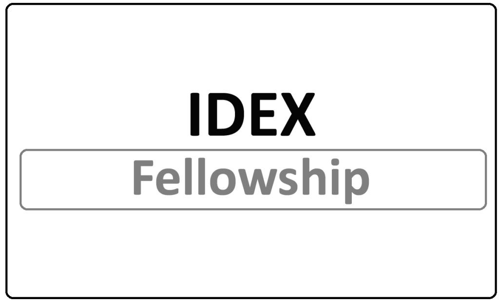 IDEX Fellowship 2024