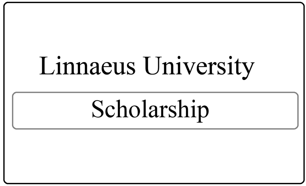 Linnaeus University Scholarships 2024-25