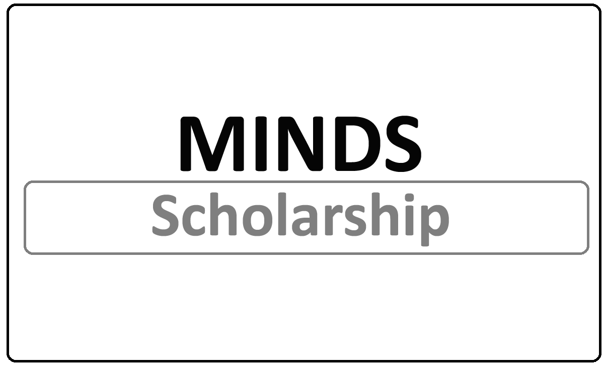 MINDS PanAfrican Leadership Development Program Scholarship 2024