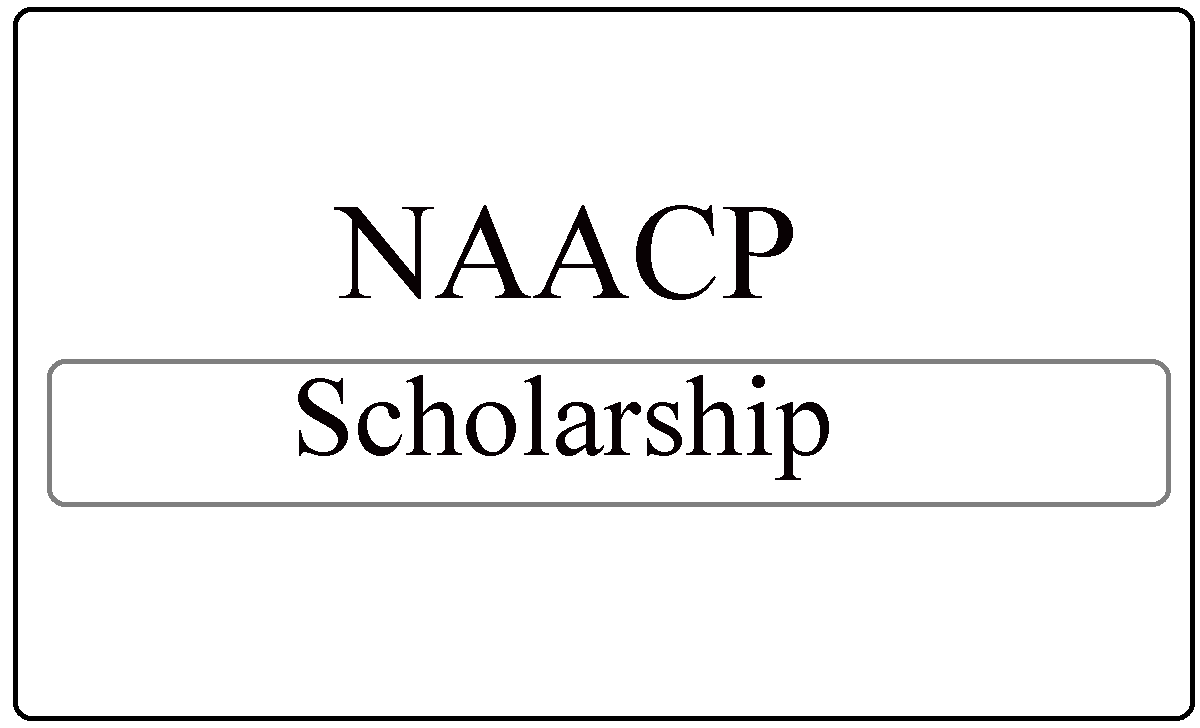 NAACP Scholarship Program 2024, USA