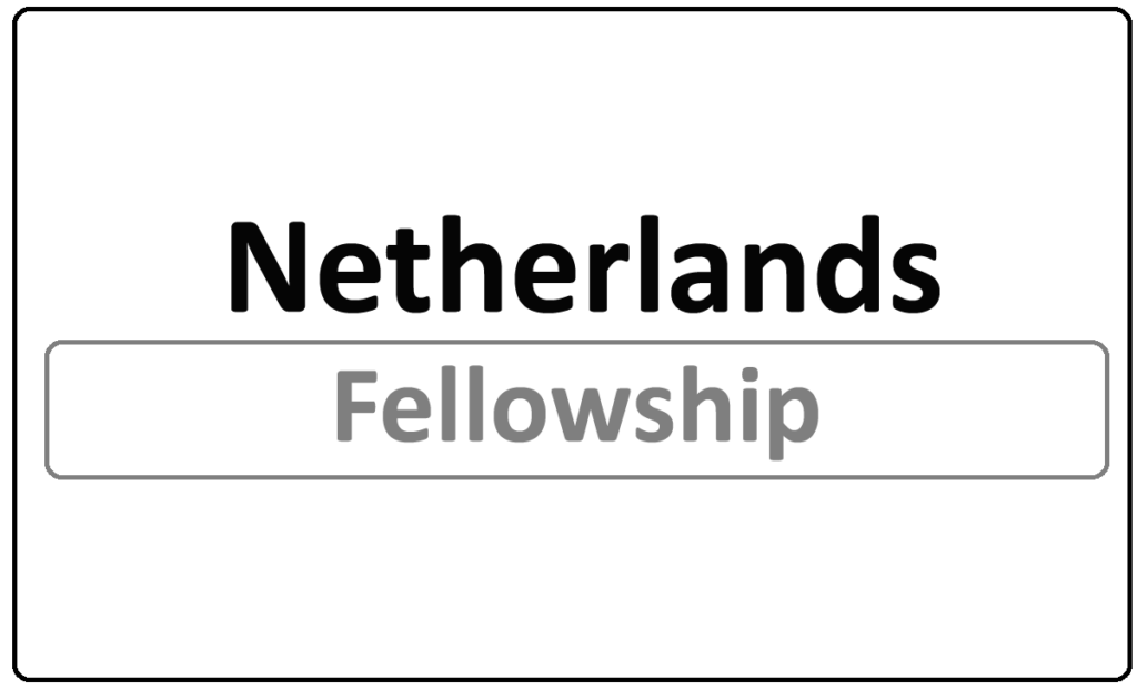 Netherlands Fellowship Programme 2024