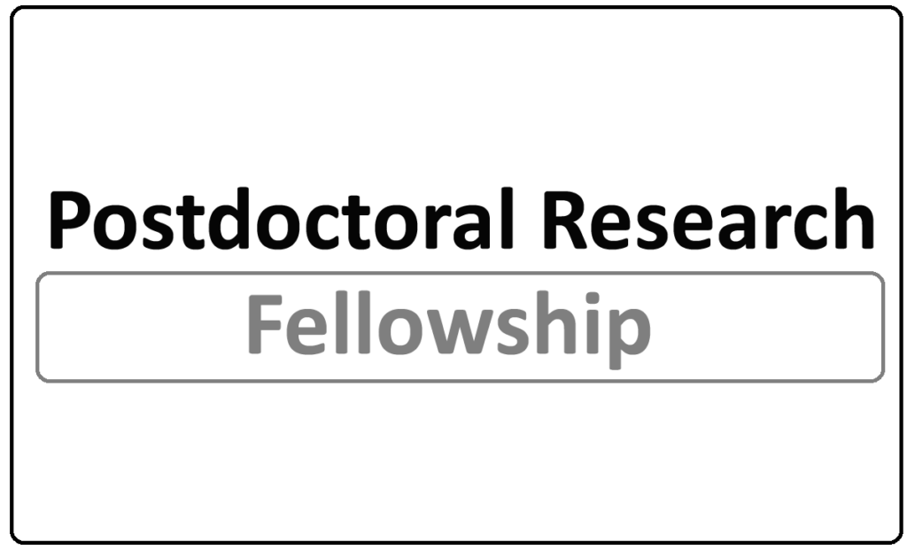 Postdoctoral Research Fellowship 2024