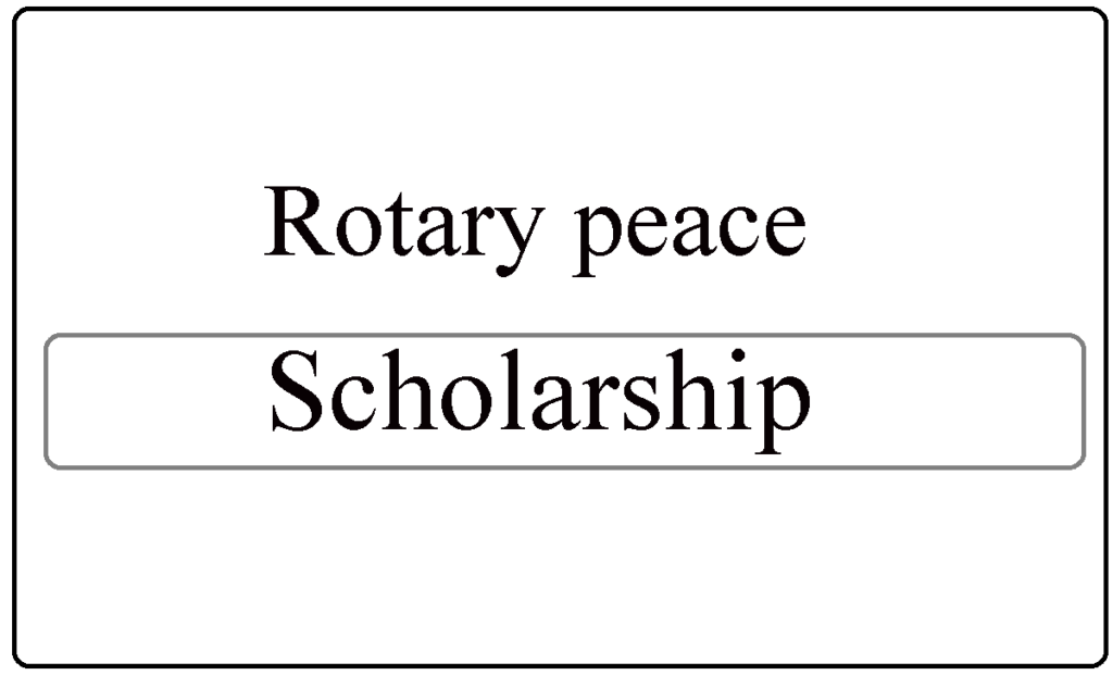 Rotary peace Fellowship 2024