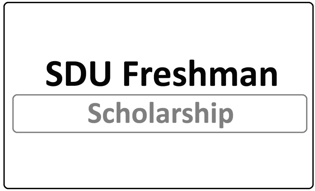 SDU Freshman Scholarship 2024
