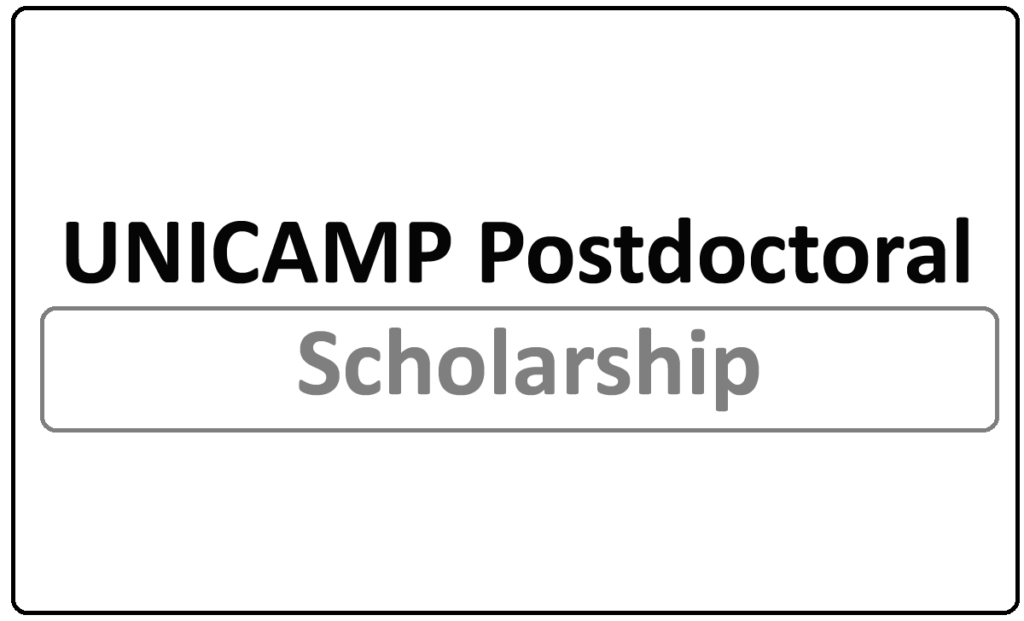 UNICAMP, Postdoctoral Scholarship 2024
