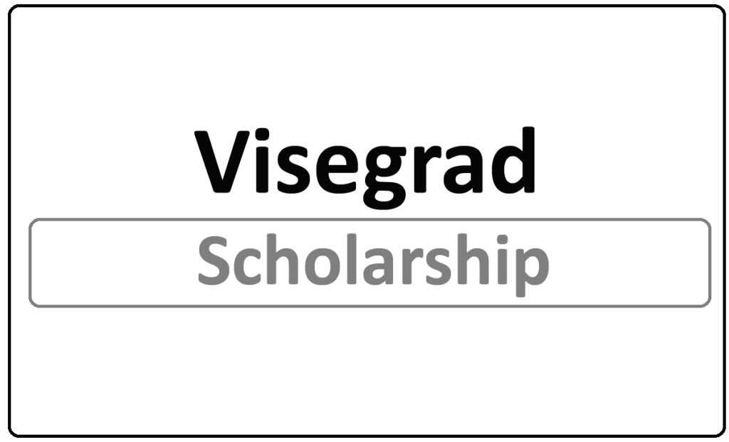 Visegrad Scholarship Program 2024