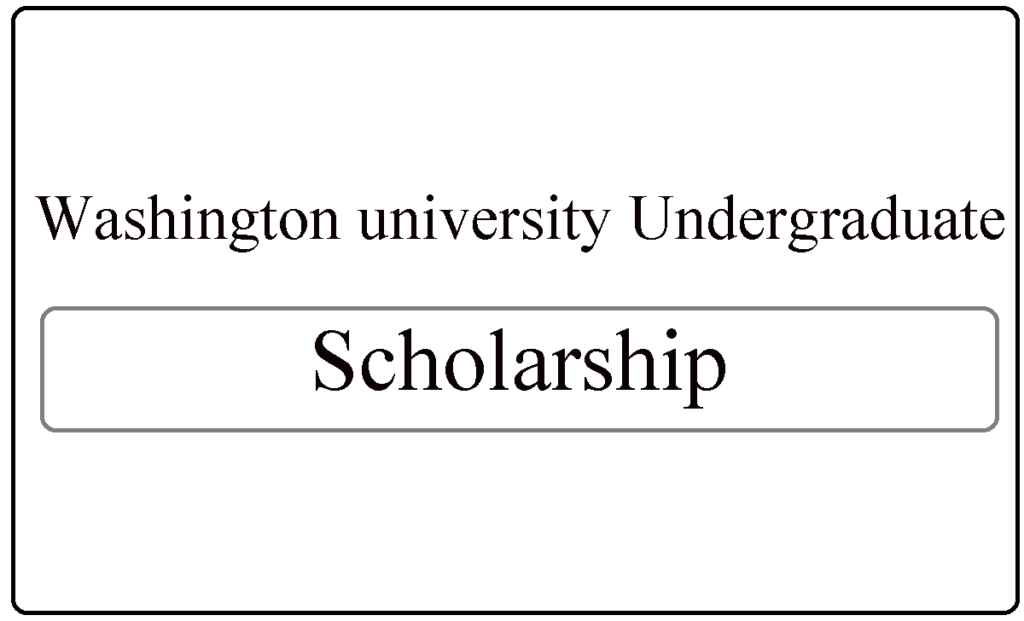 Washington university Undergraduate Scholarships 2024