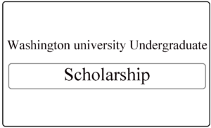Washington University Undergraduate Scholarships 300x182 