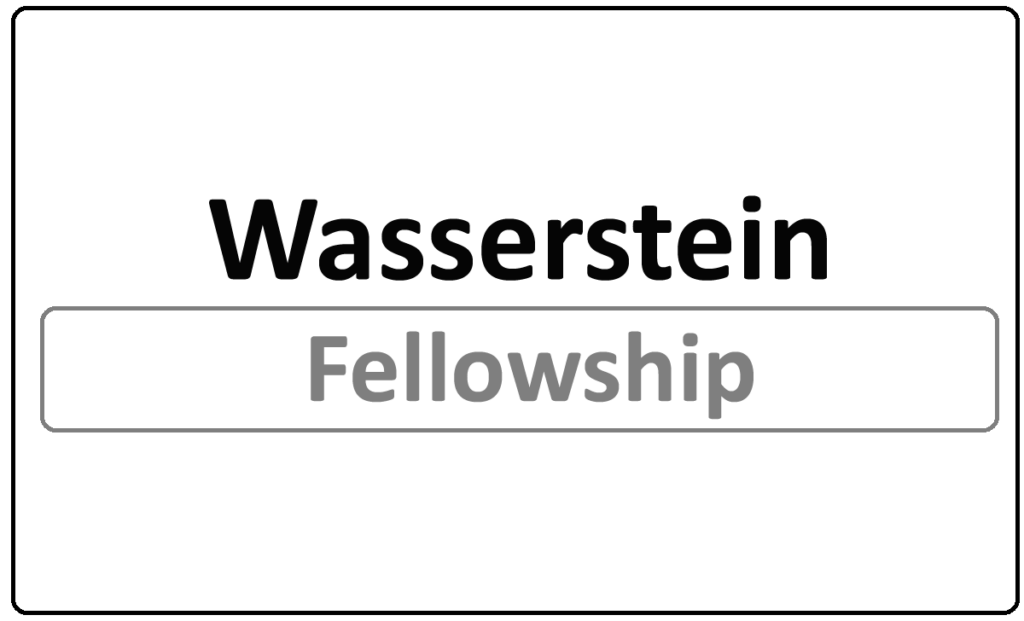 Wasserstein Public Interest Fellowship 2024