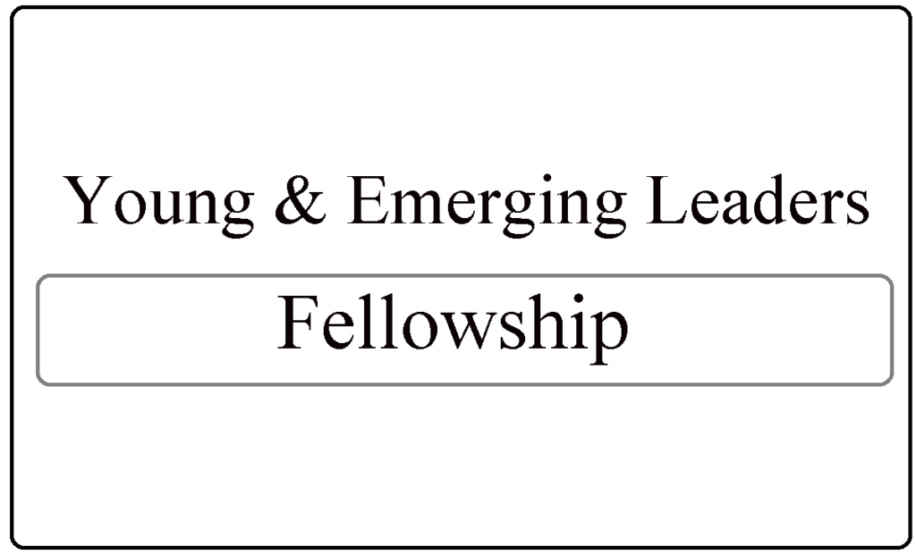 Young & Emerging Leaders fellowship program 2024